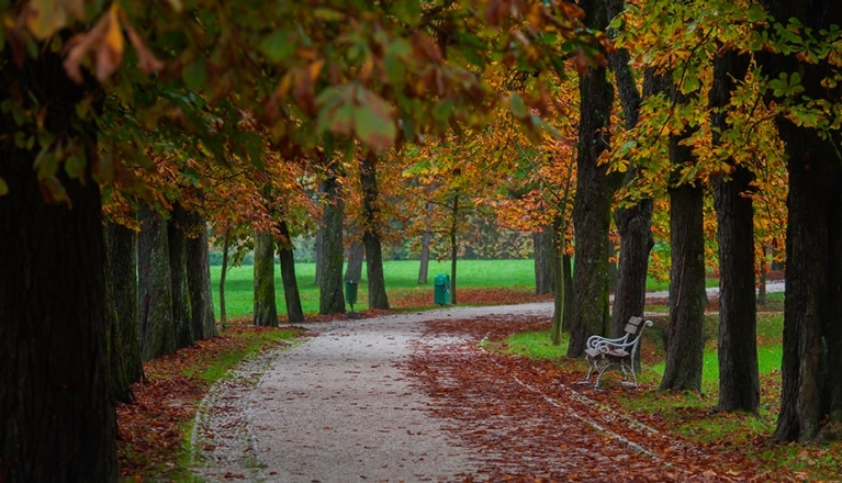 Tivoli Park
